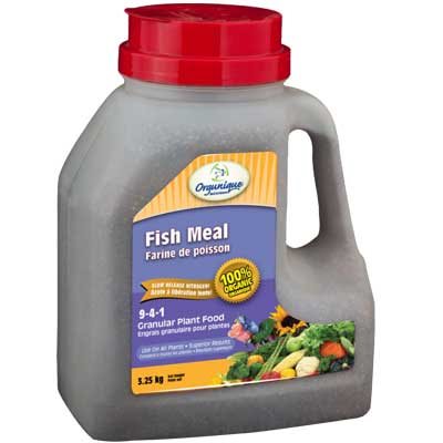 fish meal