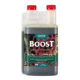 CANNA BOOST ACCELERATOR 1L